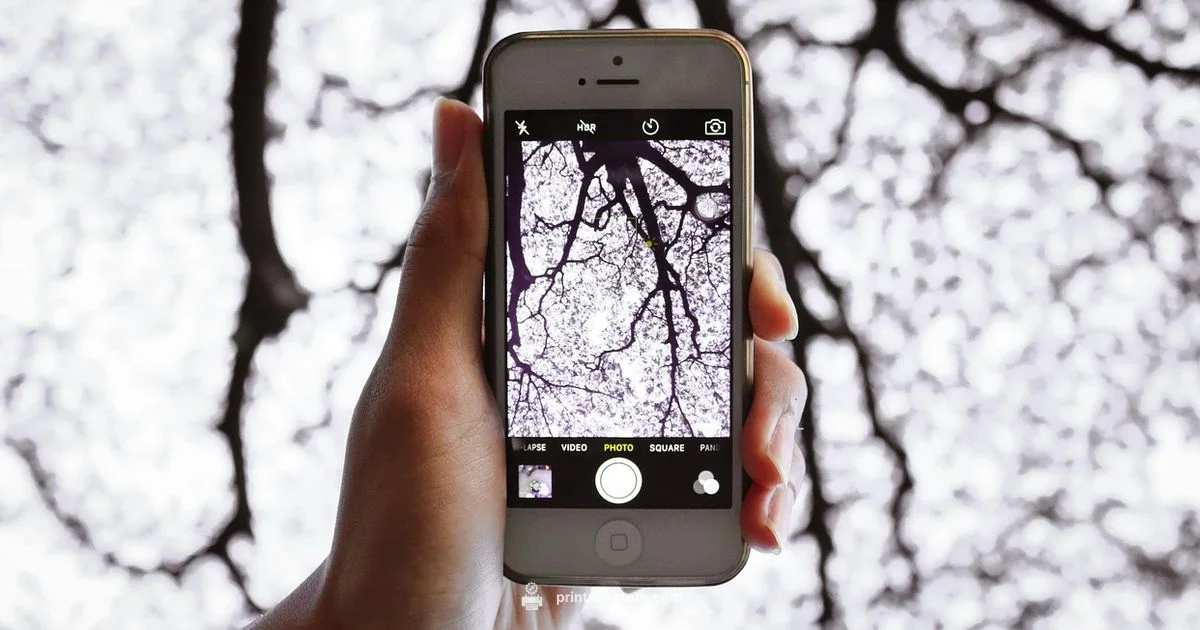 Print Your iPhone Photos - Print Setup Pro