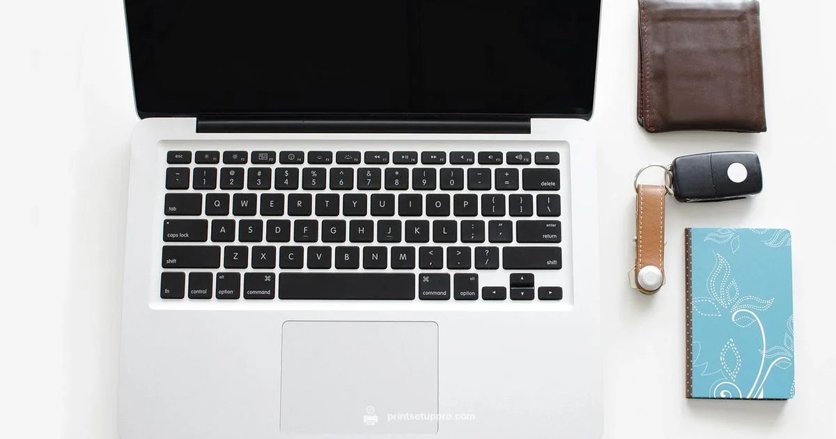 Rollo Setup Essentials - Print Setup Pro