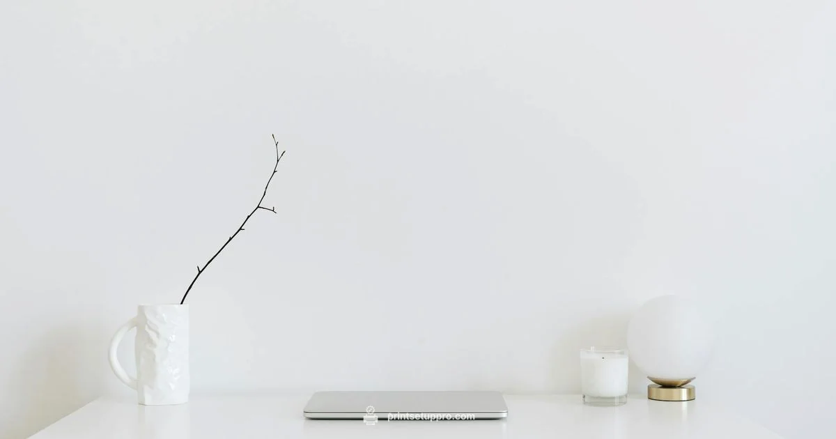 DeskJet 2130 Setup - Print Setup Pro