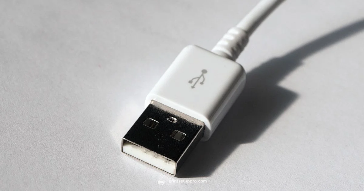 Offline Printing Offline Printing - Print Setup Pro