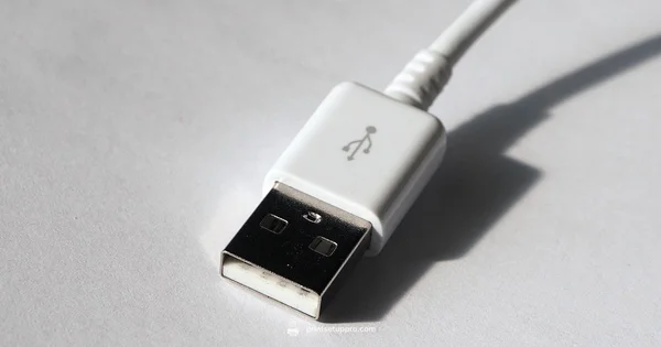 Offline Printing - Print Setup Pro