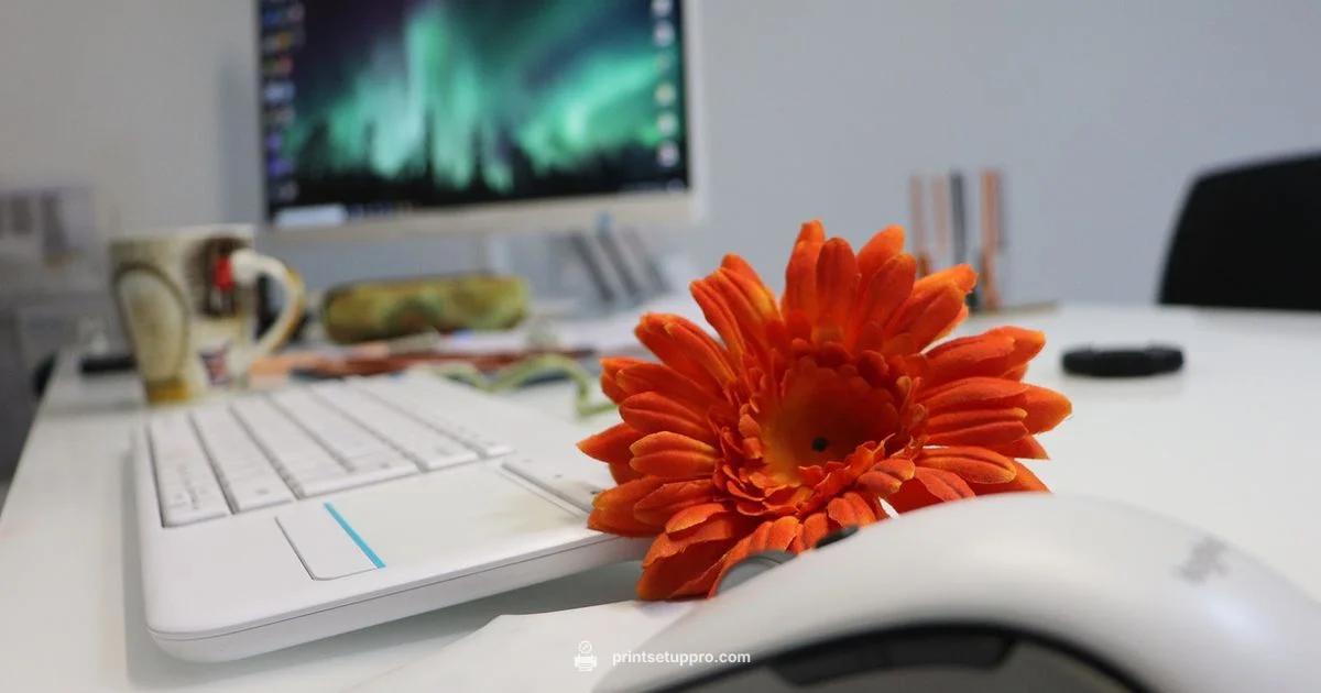 Top Printer Picks - Print Setup Pro