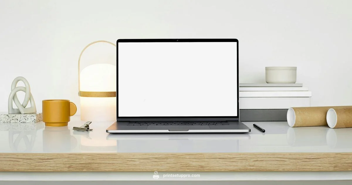 HP Ink Setup - Print Setup Pro