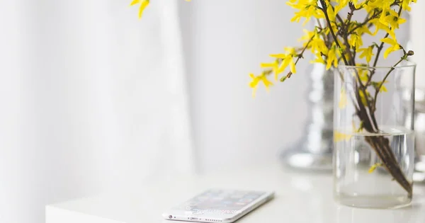 AirPrint Ready - Print Setup Pro