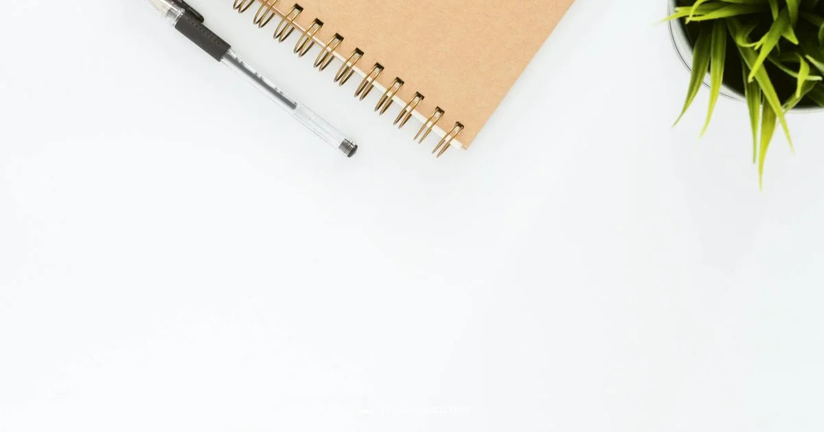 Ricoh Printer Guide - Print Setup Pro