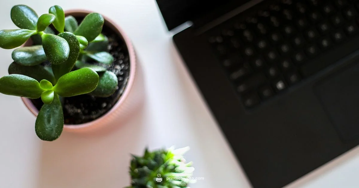 Printer Safety Guide - Print Setup Pro