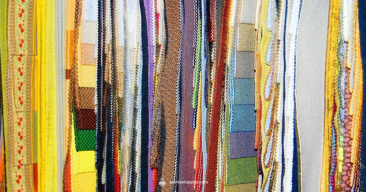 Procolored DTF Review - Print Setup Pro