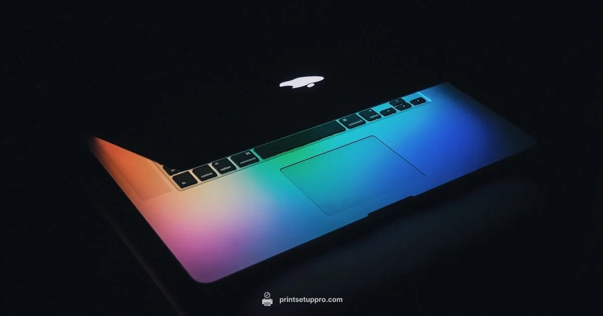 Black Cartridge Guide - Print Setup Pro