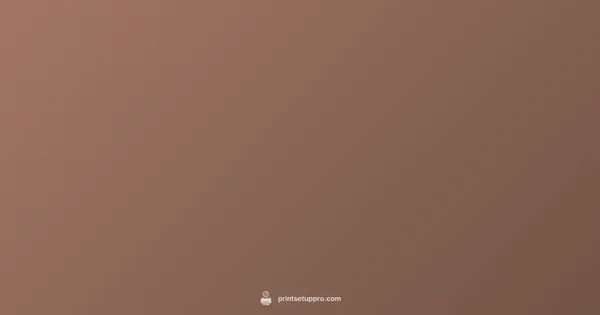 Local DTF Printing - Print Setup Pro (illustration)