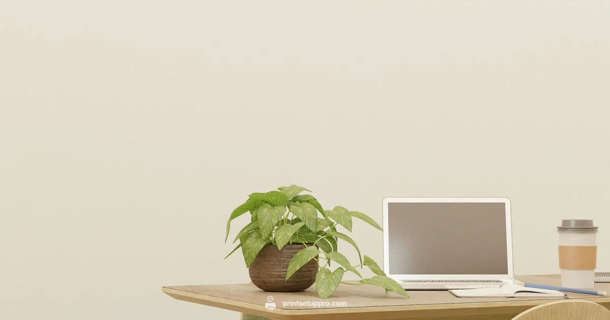 ET 4800 Guide - Print Setup Pro