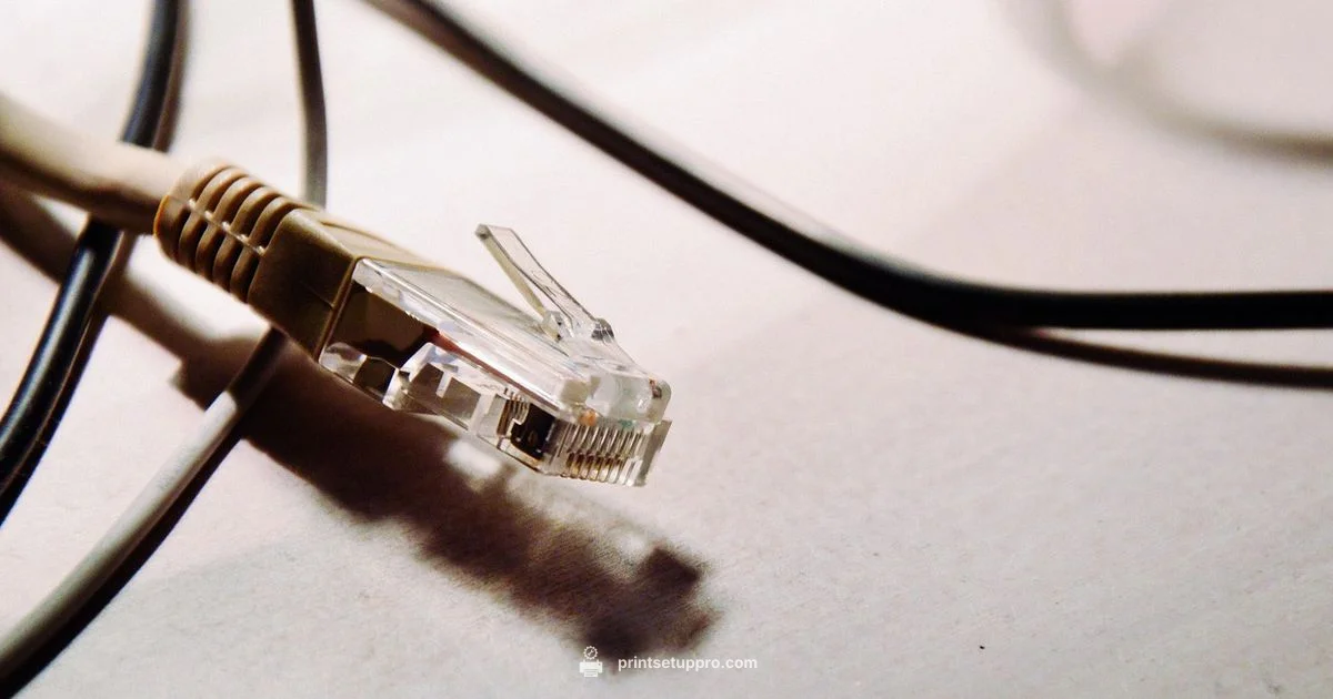 Printer Ethernet Guide - Print Setup Pro