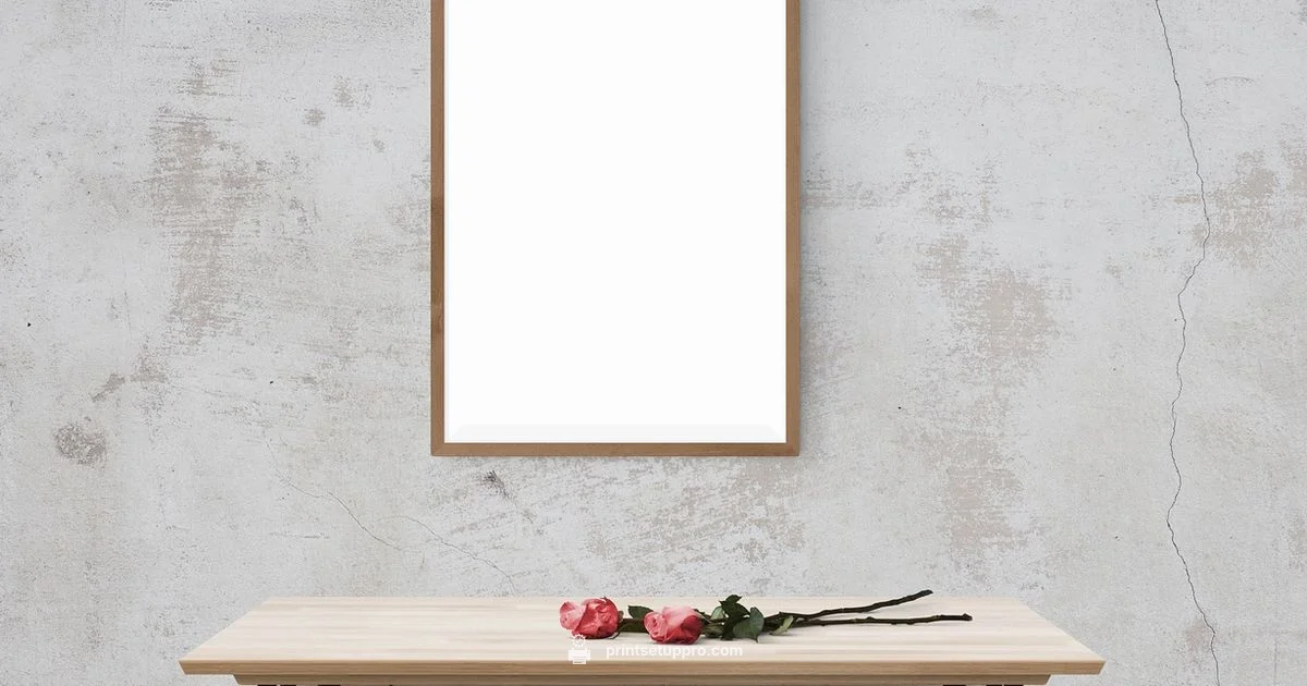 Printer Offline Fix - Print Setup Pro