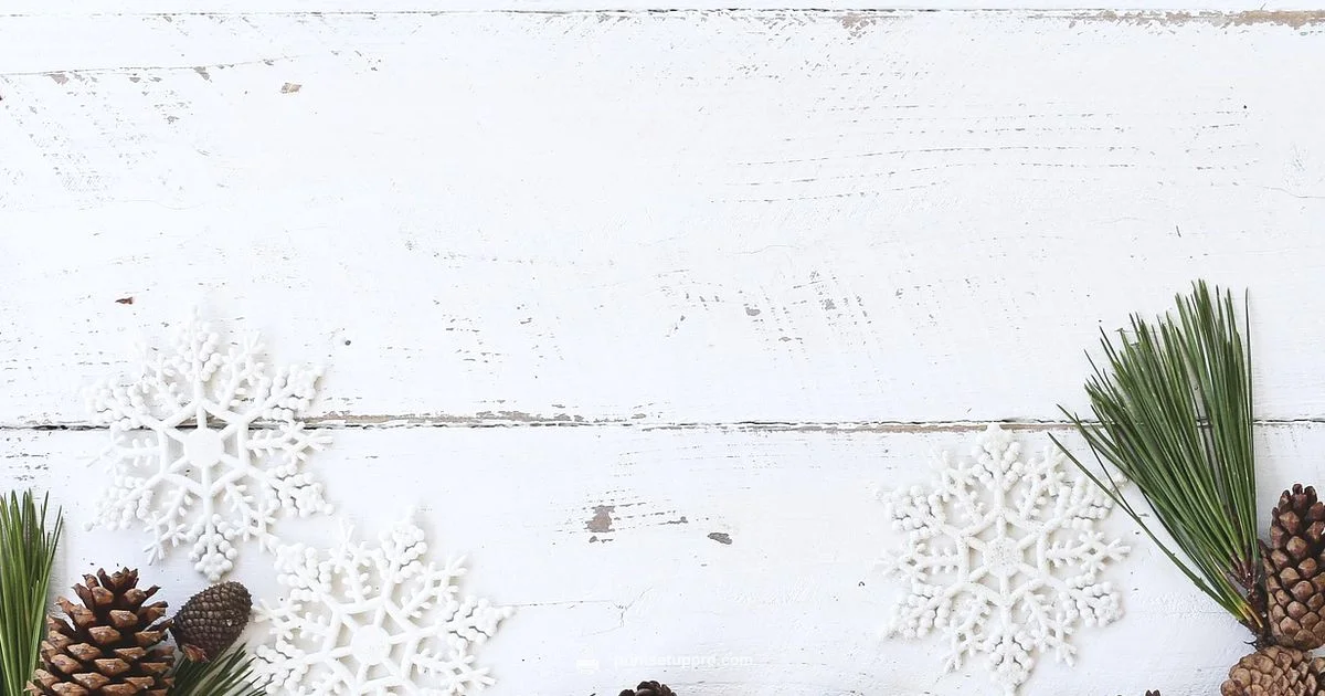 Printer WiFi Setup - Print Setup Pro