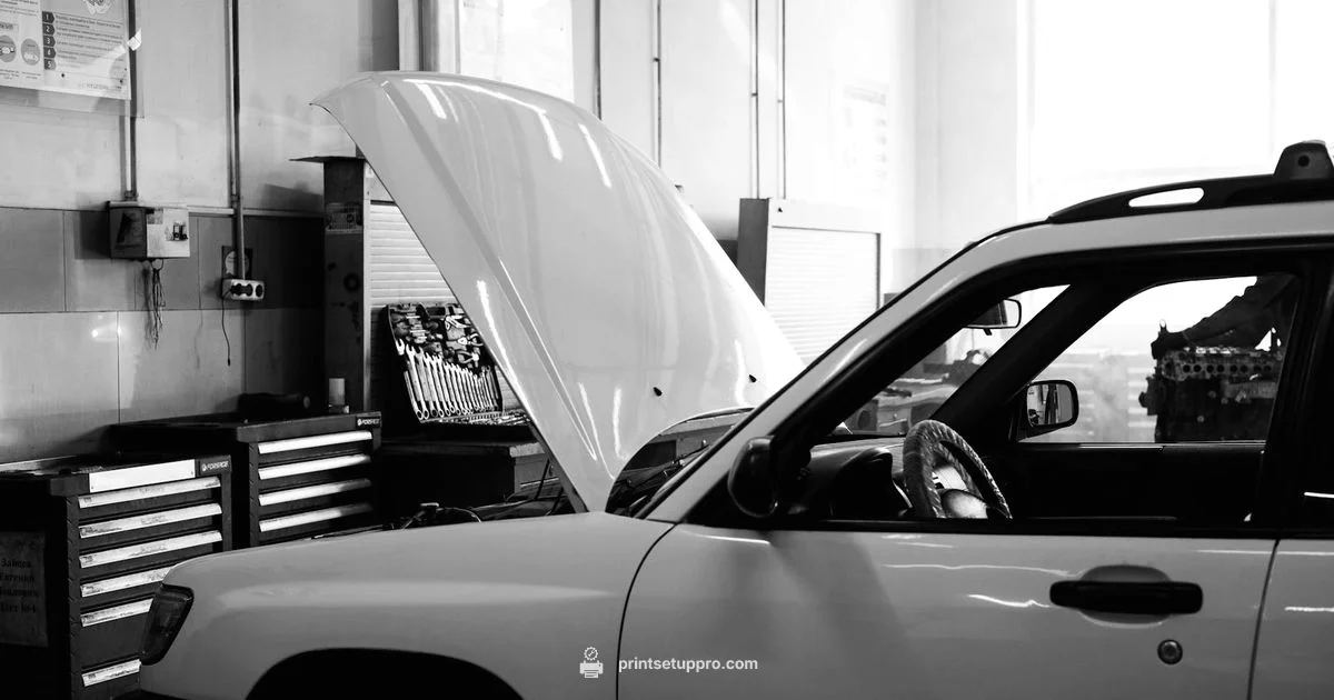 Printer Maintenance Printer Maintenance - Print Setup Pro