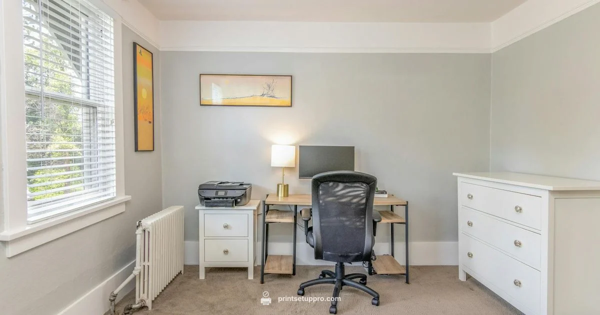 HP Printer Reset - Print Setup Pro