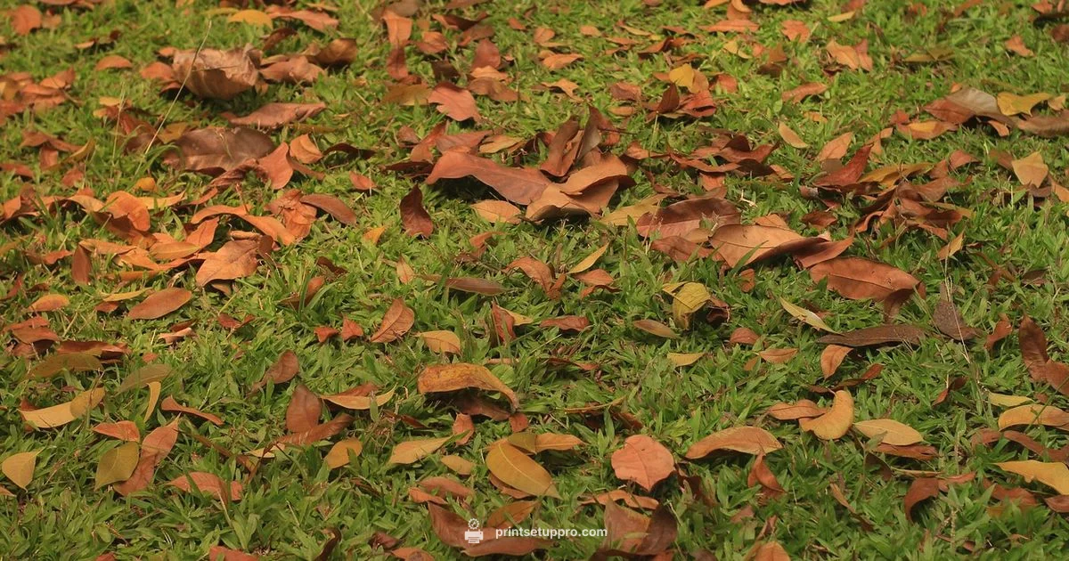 Leaf Printer Guide - Print Setup Pro