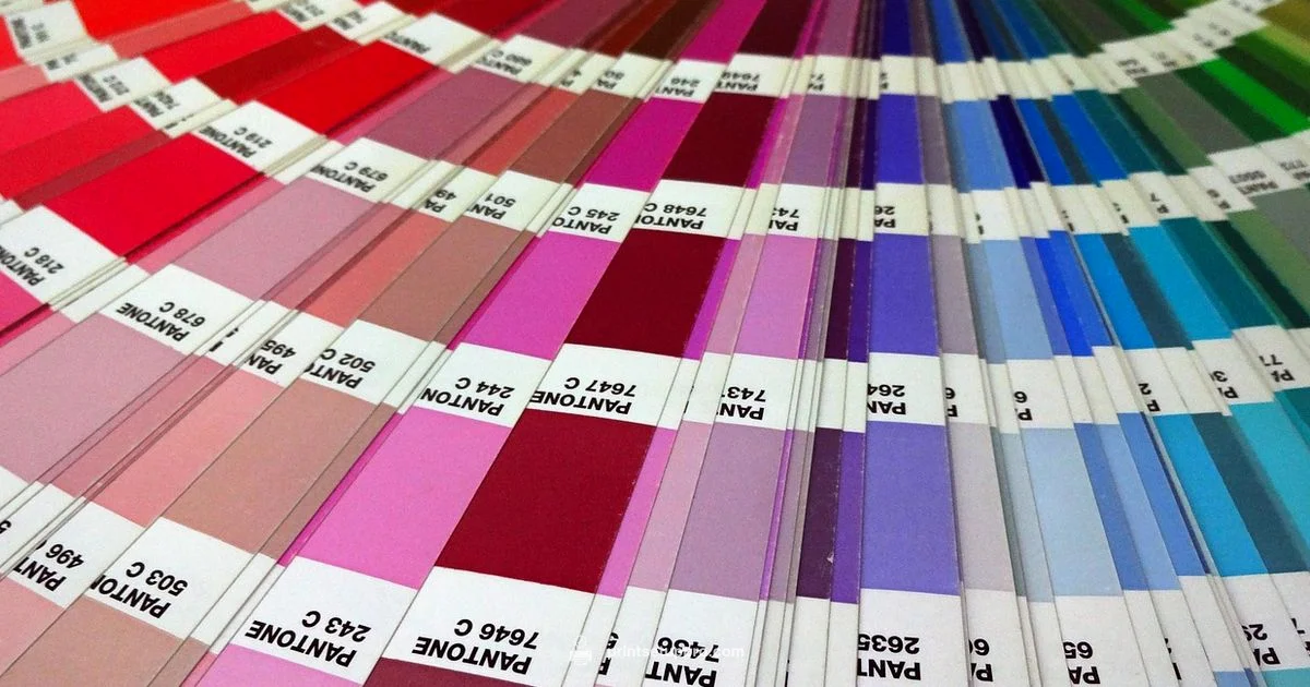 Printer Quality Essentials Printer Quality Essentials - Print Setup Pro