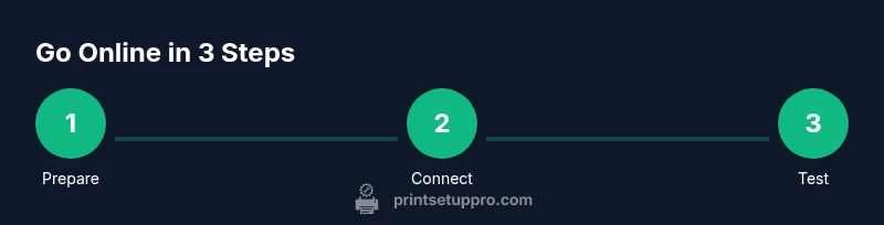Process diagram to put printer online