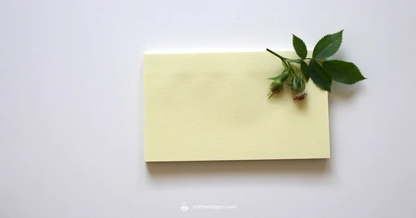 A5 Paper Size - Print Setup Pro