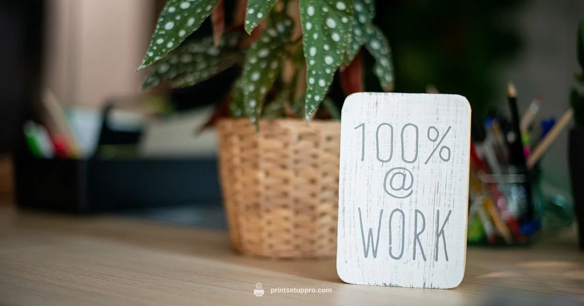 Budget Printer Power - Print Setup Pro