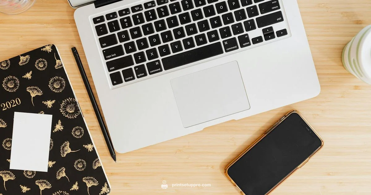 Bamboo Lab Printer - Print Setup Pro