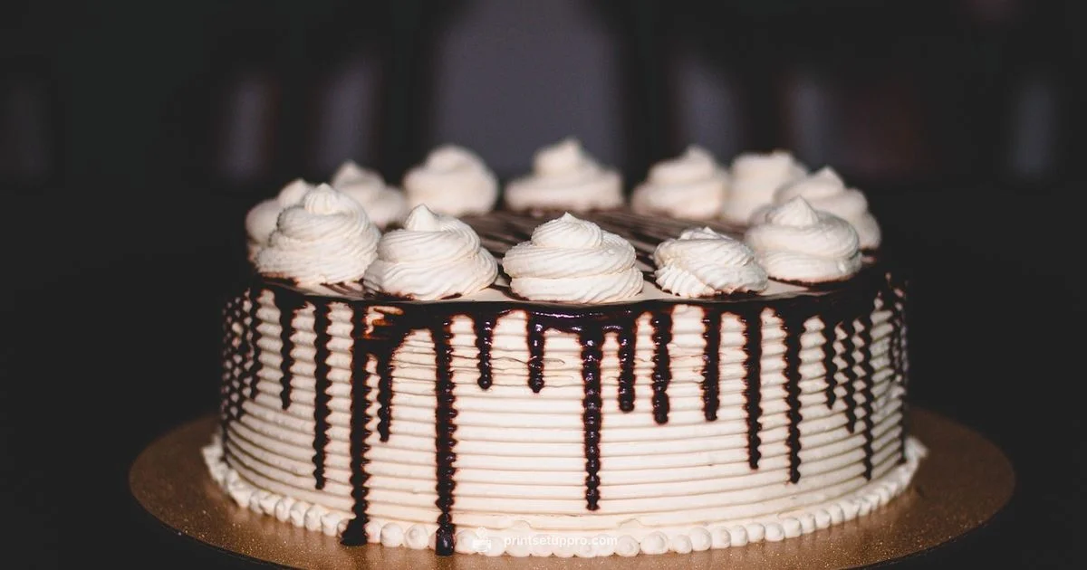 Edible Printer Guide - Print Setup Pro