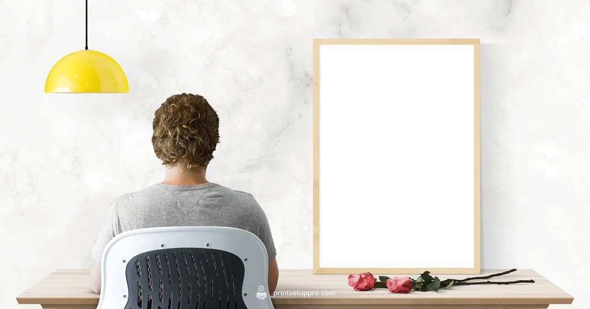 Printer Scanner Demystified Printer Scanner Demystified - Print Setup Pro