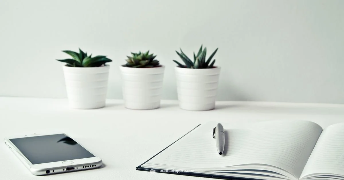 HP 950 Ink Guide - Print Setup Pro