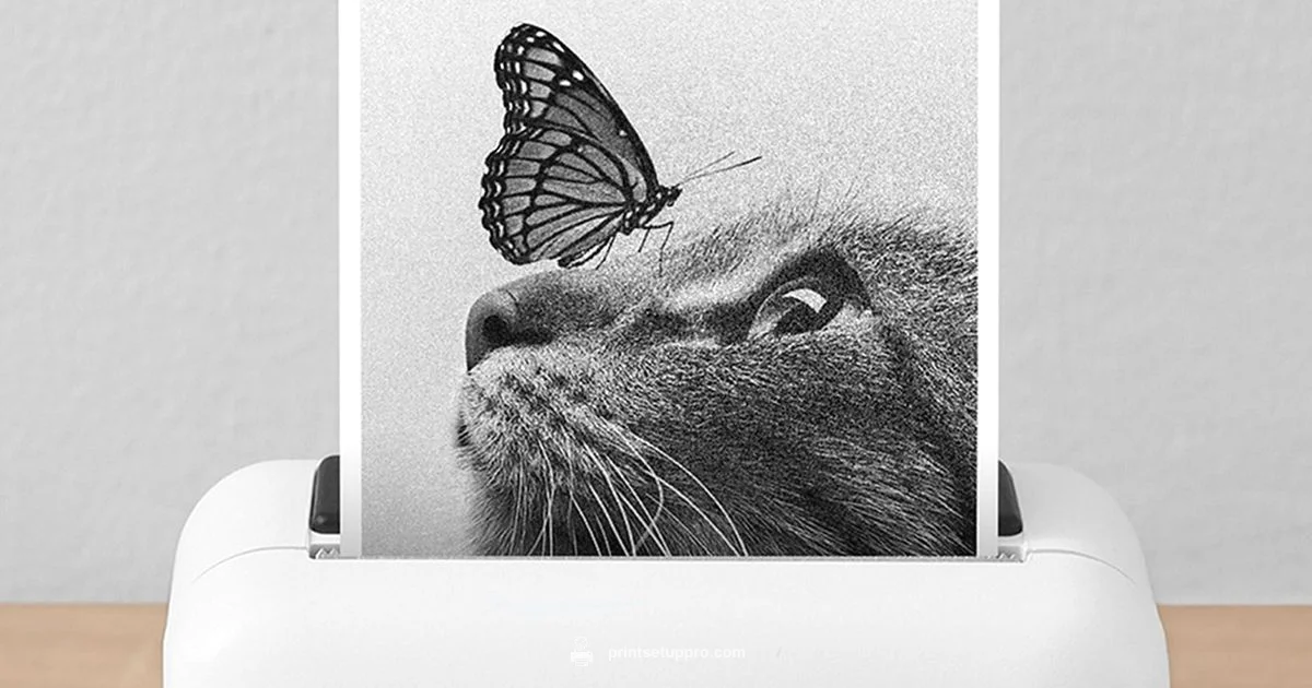 Printer Back Online Printer Back Online - Print Setup Pro