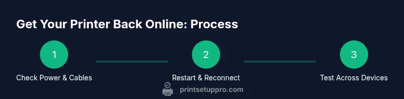 Process diagram for bringing printer back online