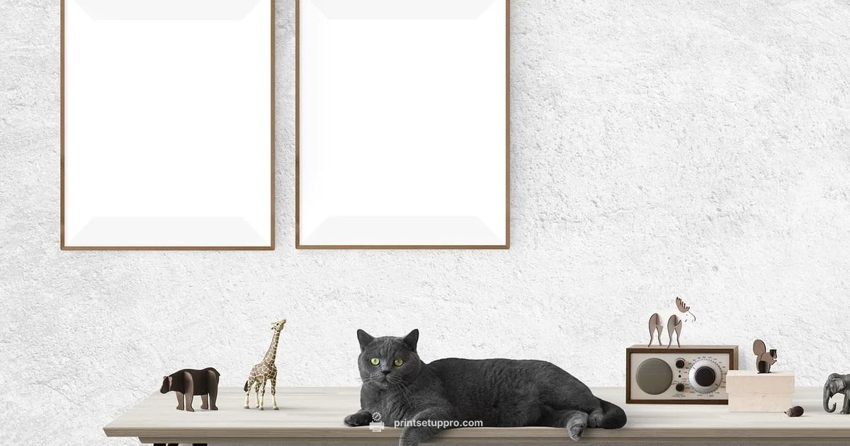 Home Photo Printing - Print Setup Pro