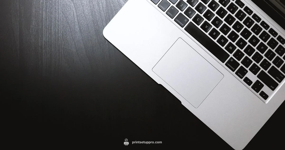 Laser Printers 101 Laser Printers 101 - Print Setup Pro