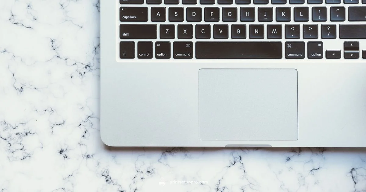 Best Office Printer Guide - Print Setup Pro