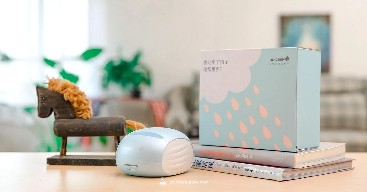 Printer vs Fax - Print Setup Pro