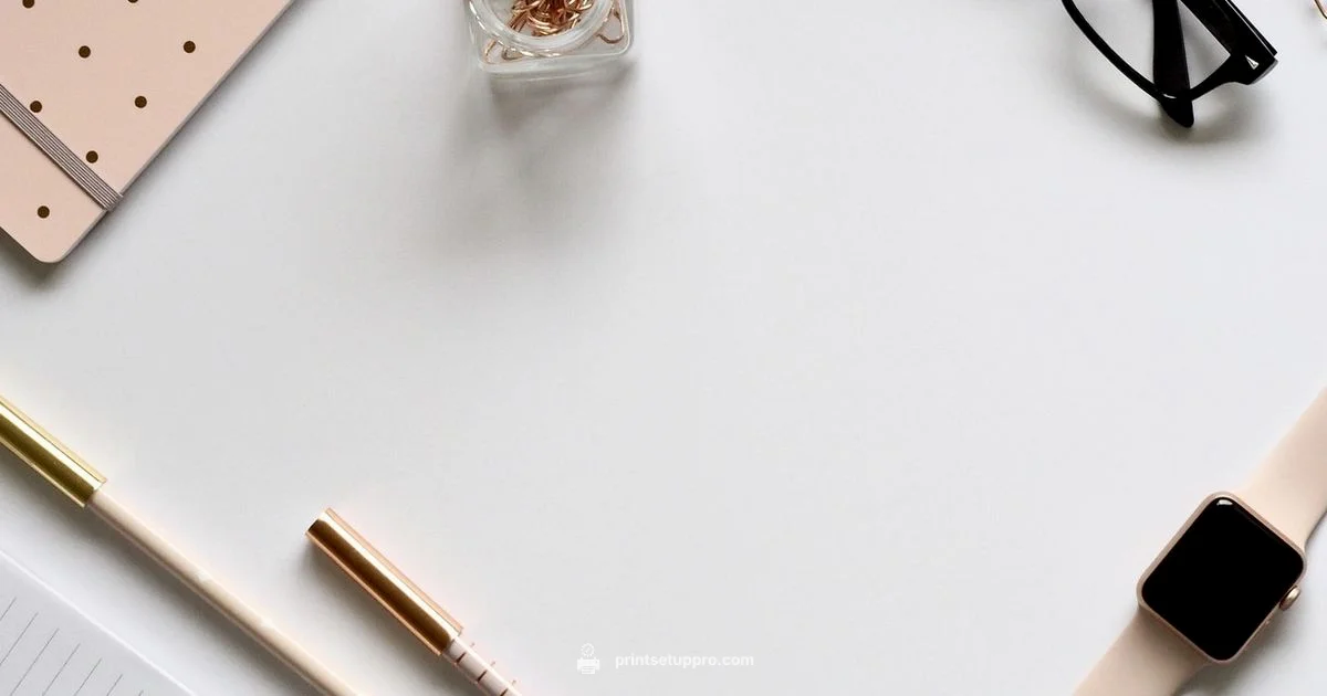 HP Printer Support HP Printer Support - Print Setup Pro