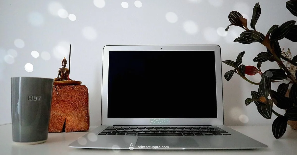 Printer Setup 2026 - Print Setup Pro