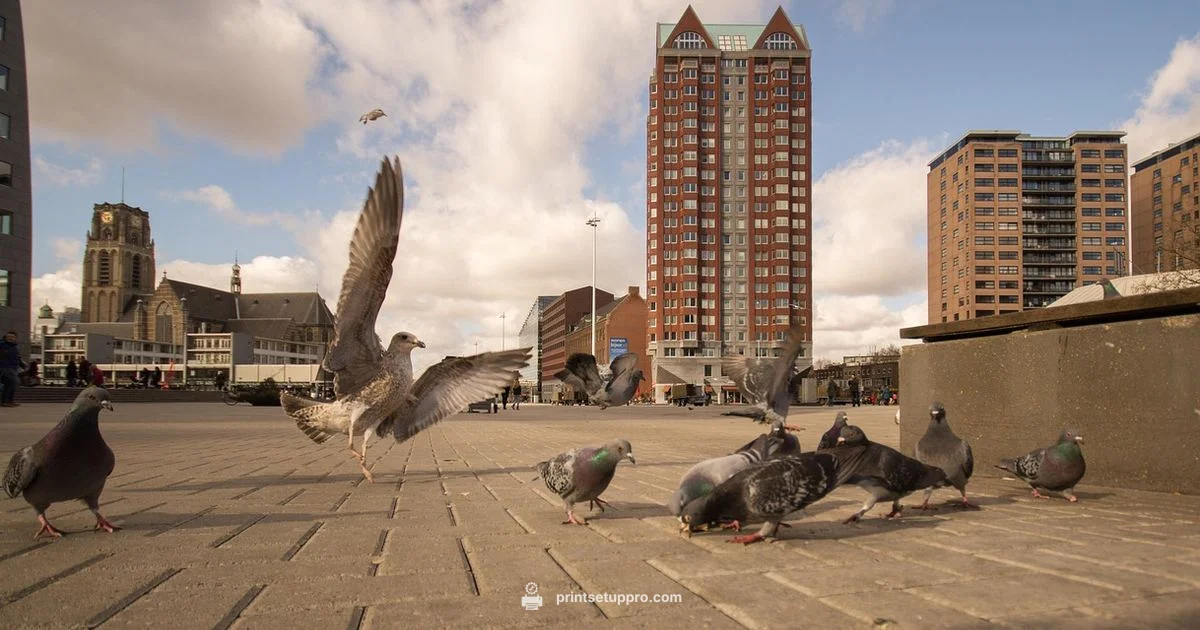 Home Printer Picks Home Printer Picks - Print Setup Pro