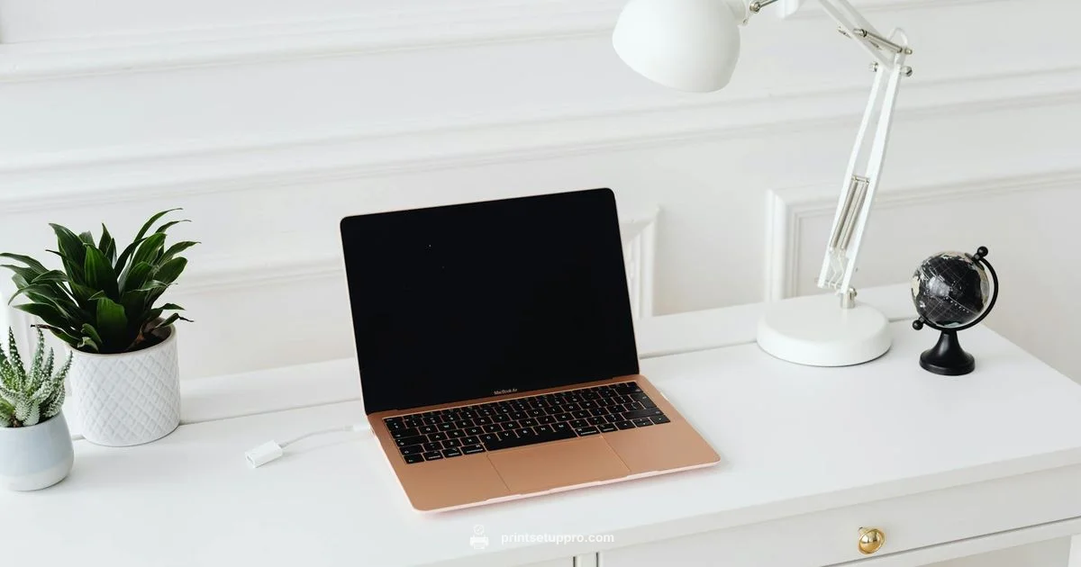 Affordable Ink Guide Affordable Ink Guide - Print Setup Pro