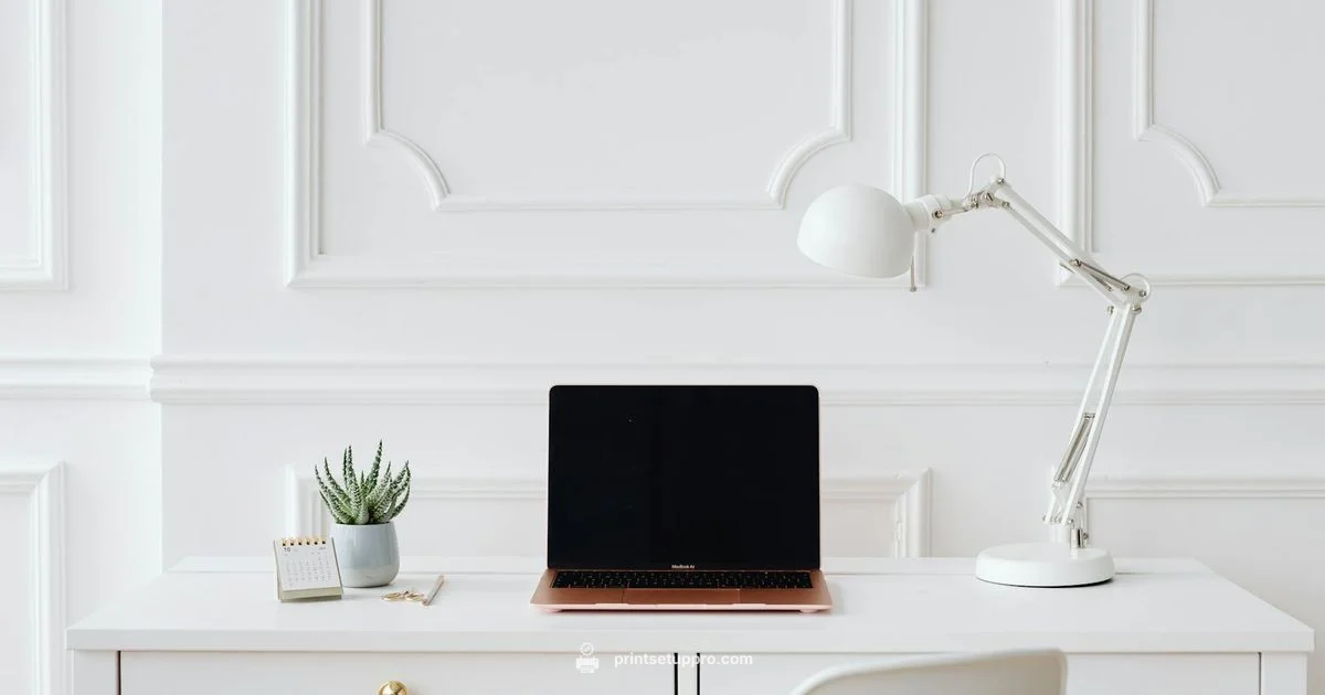 HP Inkjet Insight - Print Setup Pro