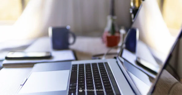 HP Driver Setup - Print Setup Pro