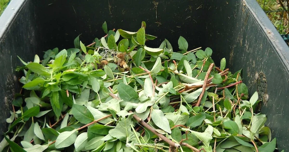 Waste to Reuse Waste to Reuse - Print Setup Pro