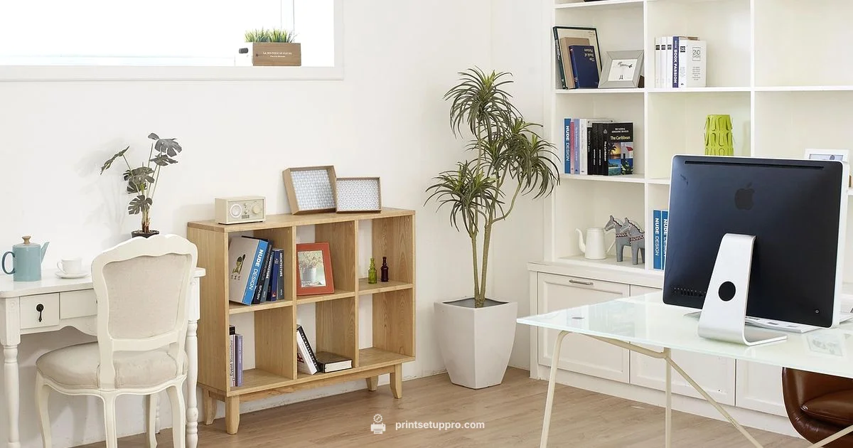 Print Without a Printer - Print Setup Pro