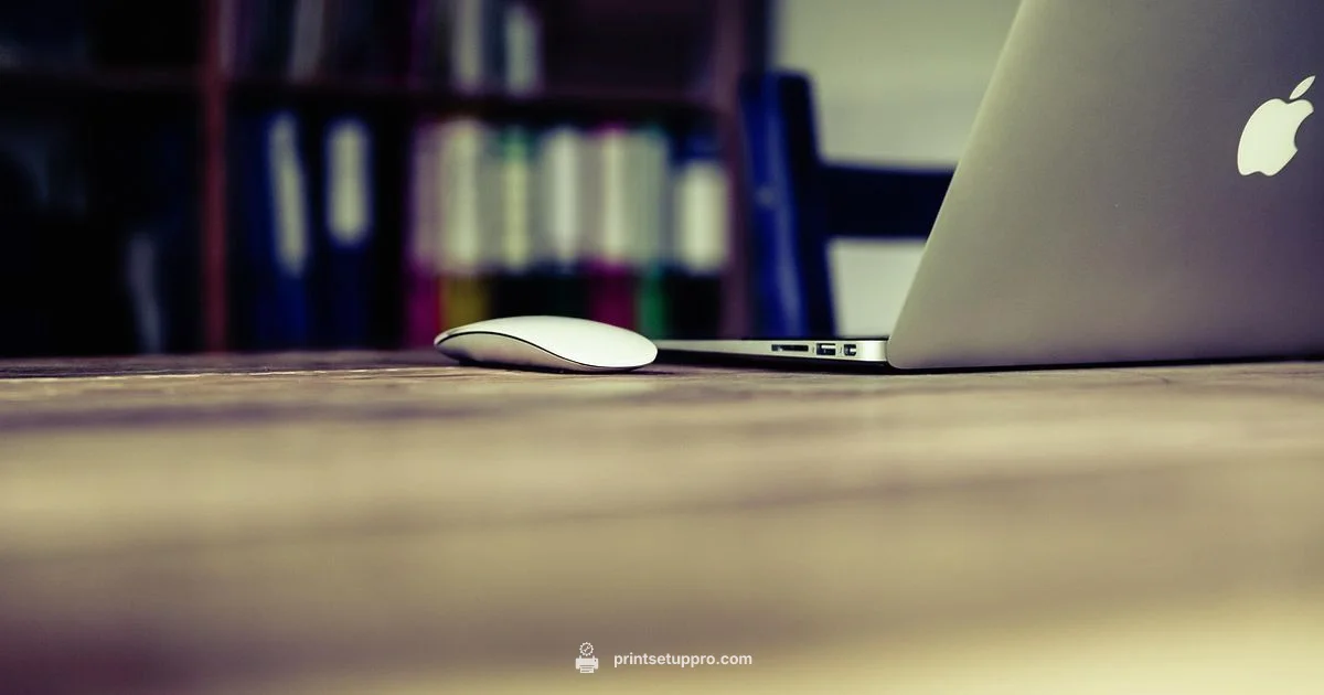 Printer Lifespan Printer Lifespan - Print Setup Pro