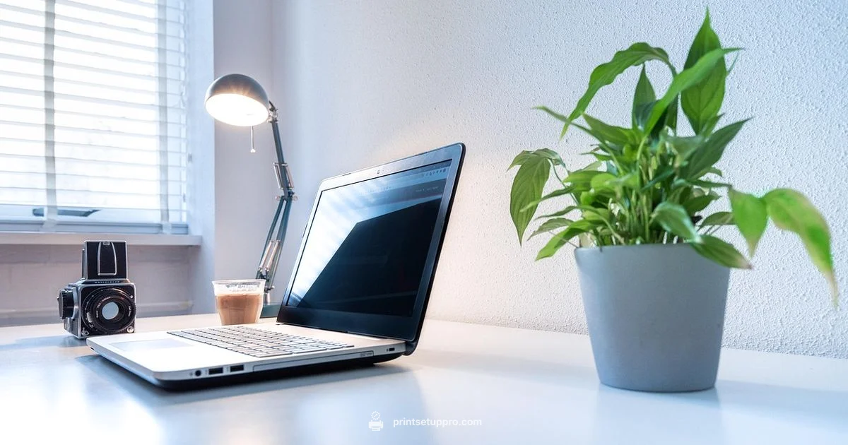 Printer Not Printing? Printer Not Printing? - Print Setup Pro